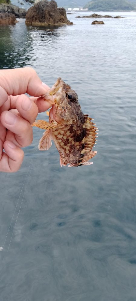 エギング&ロックフィッシュゲーム