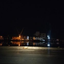 仕事終わりのアジング