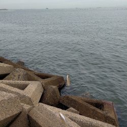 高活性だが···