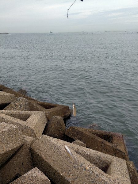 高活性だが···