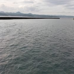 和歌山三重遠征初日