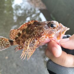 和歌山三重遠征最終日