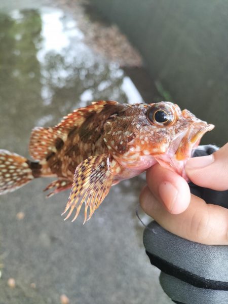 和歌山三重遠征最終日