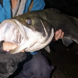 梅雨の増水濁りでリフレッシュ!