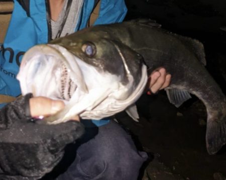 梅雨の増水濁りでリフレッシュ！