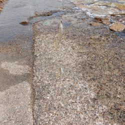 片男波（3回目）で釣果が上向き