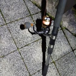 2024/06/08 大阪河川釣行