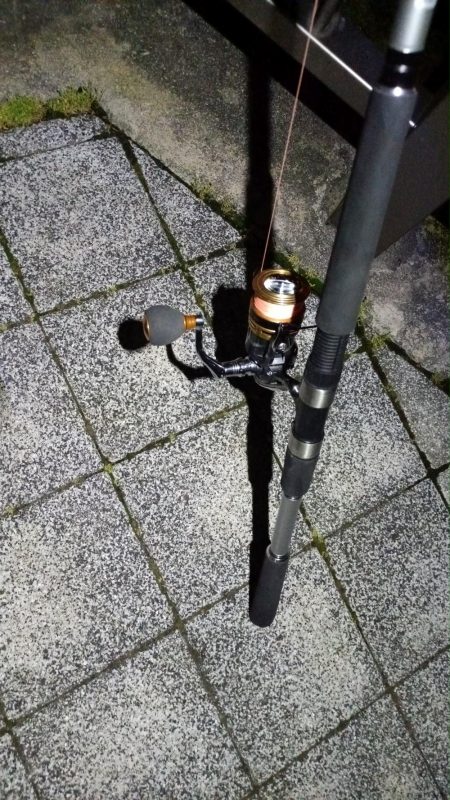 2024/06/08 大阪河川釣行