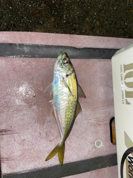 newロッド鱗付けに…