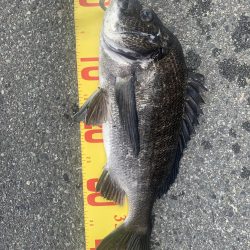 久しぶりの釣りにて。