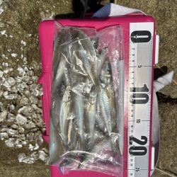 キス&フラット求めて