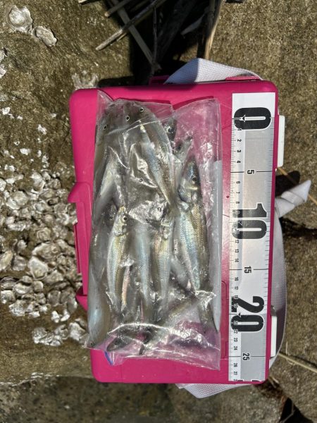 キス&フラット求めて