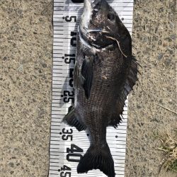 イチノ兄弟、釣果!