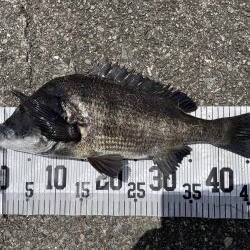 イチノ兄弟、釣果!