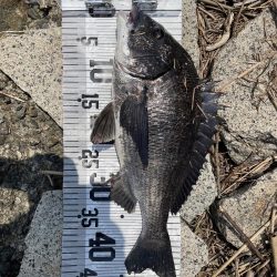 イチノ兄弟、釣果!