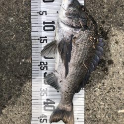 イチノ兄弟、釣果!