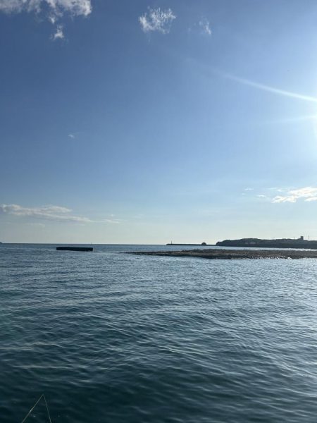 久々の落とし込み