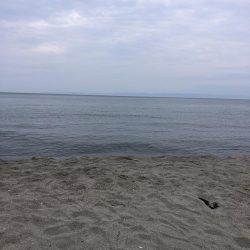 サーフからのキス