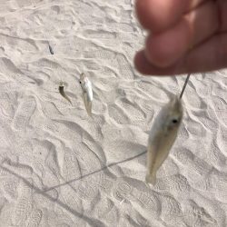 チョイ投げキス