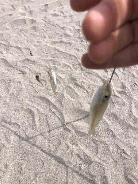 チョイ投げキス