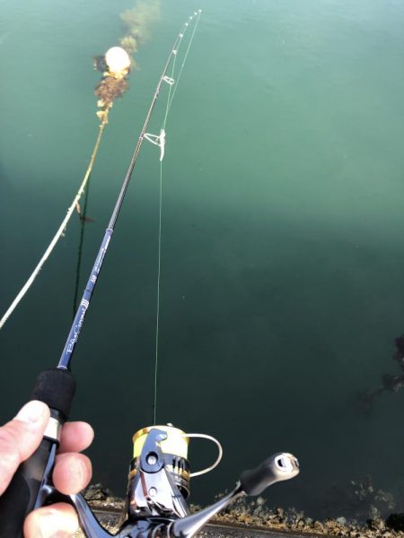 アジングは難しい