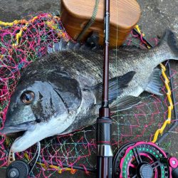 ヘチってきました