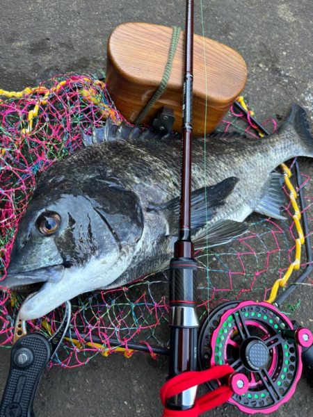 ヘチってきました