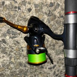 タコは気まぐれ 7