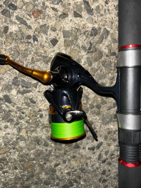 タコは気まぐれ 7