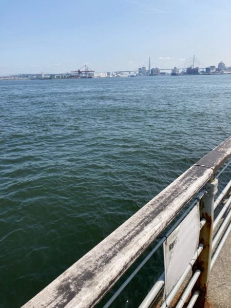 朝寝坊してしまい。慌てて湾奥蛸散歩。。