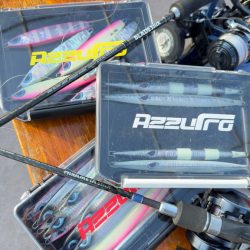 ハマチ/ジギング