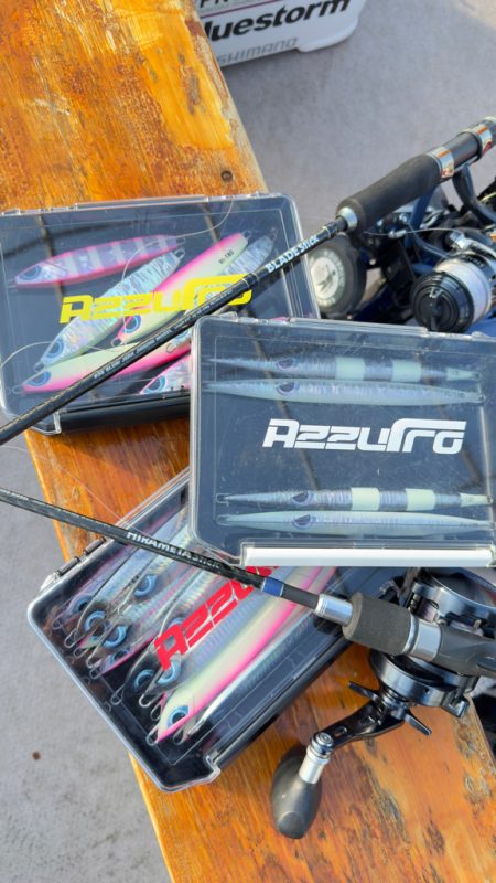 ハマチ/ジギング