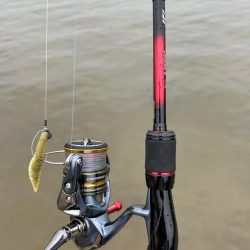 今日も懲りずに雨の中のチニング!