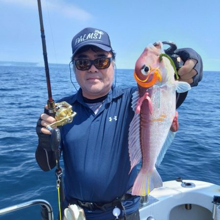 アマラバリベンジマッチ〜アルカディアⅡ〜