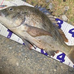 ナイトチニングゲーム