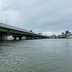 約1ヶ月ぶりにDETA!