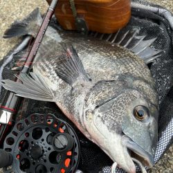 ヘチってきました