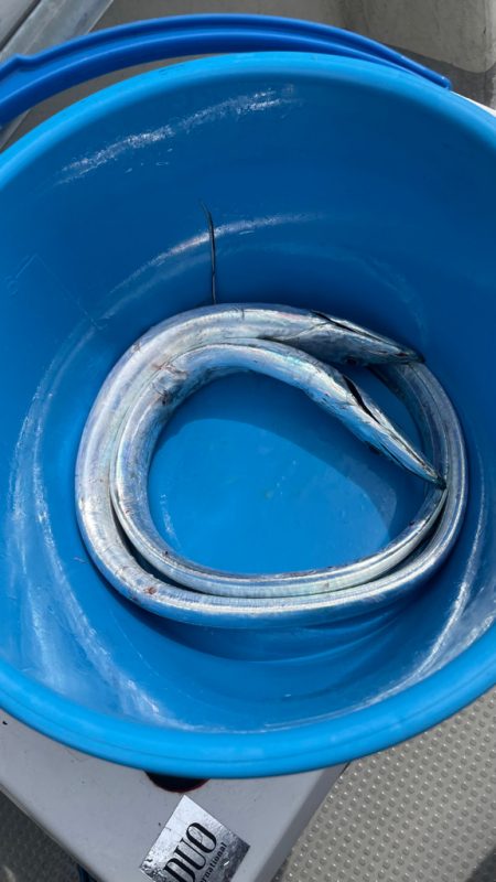 修行中（苦笑）