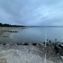 キス釣り(引き釣り)