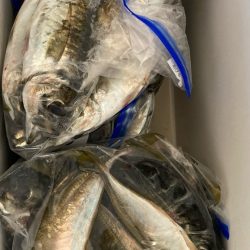 自己ベスト( ・∇・)