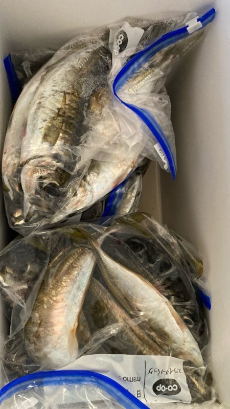 自己ベスト( ・∇・)