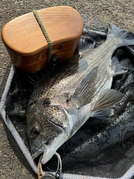 ヘチってきました