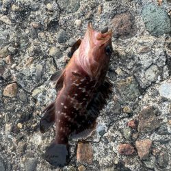 梅雨入る前に練習へ