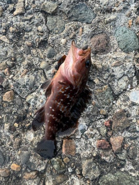 梅雨入る前に練習へ