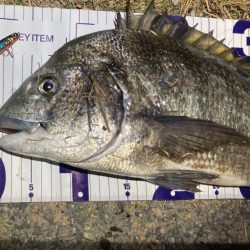 ナイトチニング