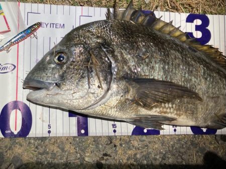 ナイトチニング