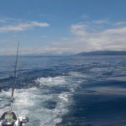 完全フカセ第2戦〜倉丸〜