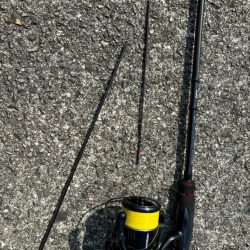 12時前後のチニング