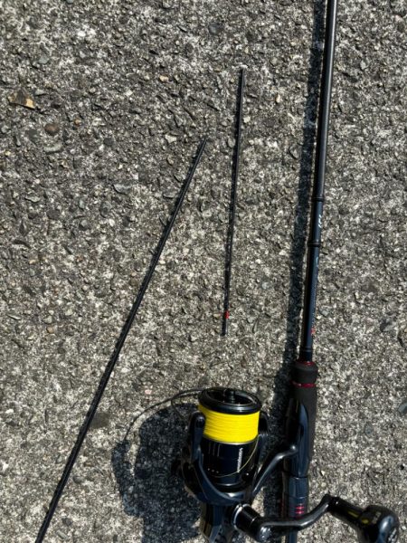 12時前後のチニング