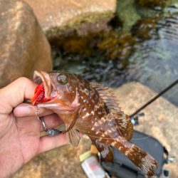 小浜ライトロック